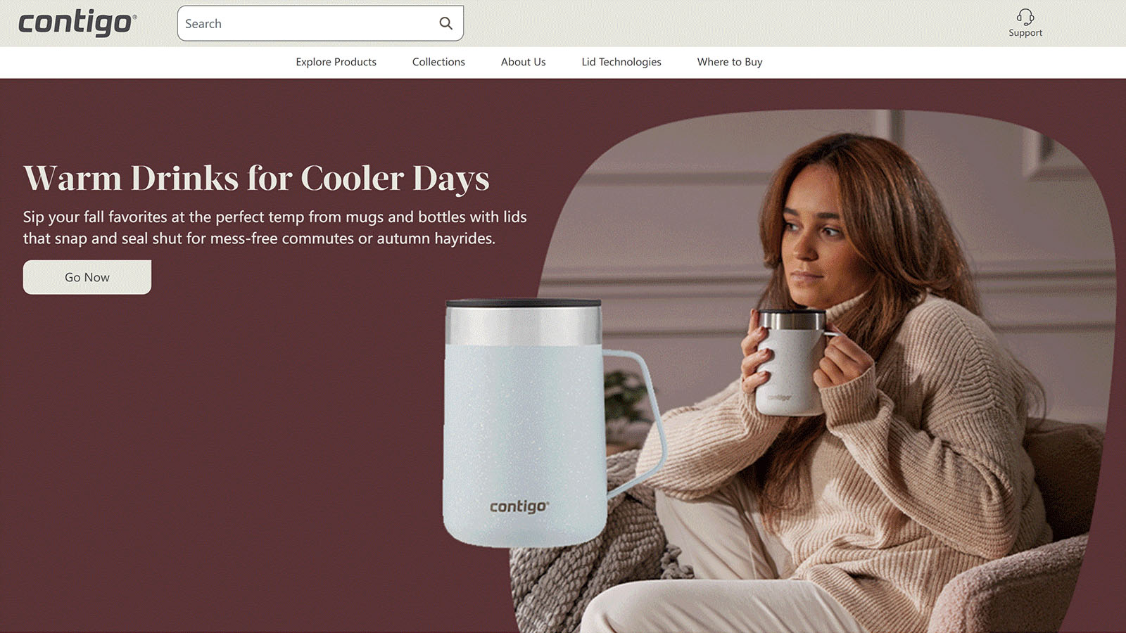 TikTok如何搭建独立站？