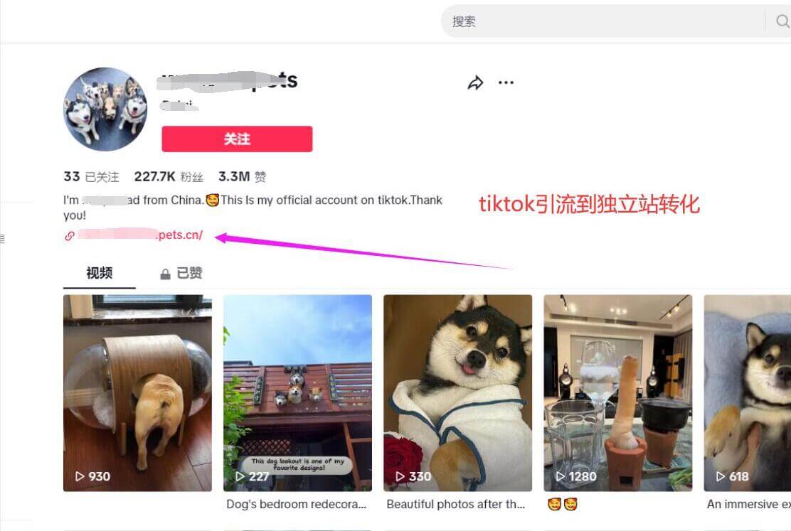 tiktok引流到独立站该怎么玩