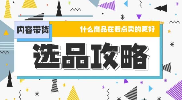 TikTok+独立站如何选品？